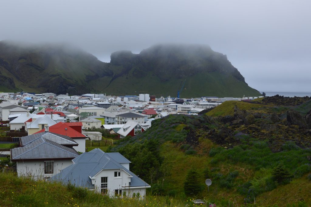 A view of the city.